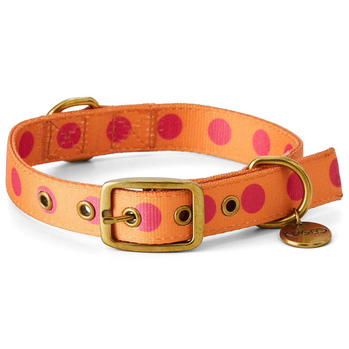 Kip and 2025 co dog collar