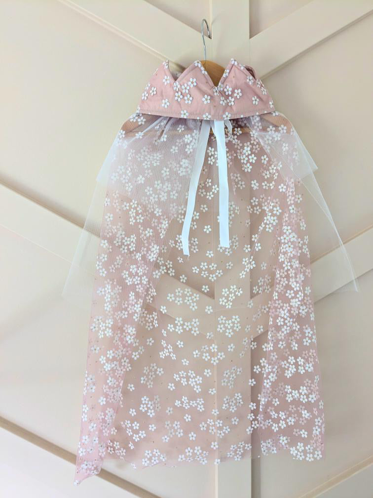 Dusty Pink Daisy Dress up