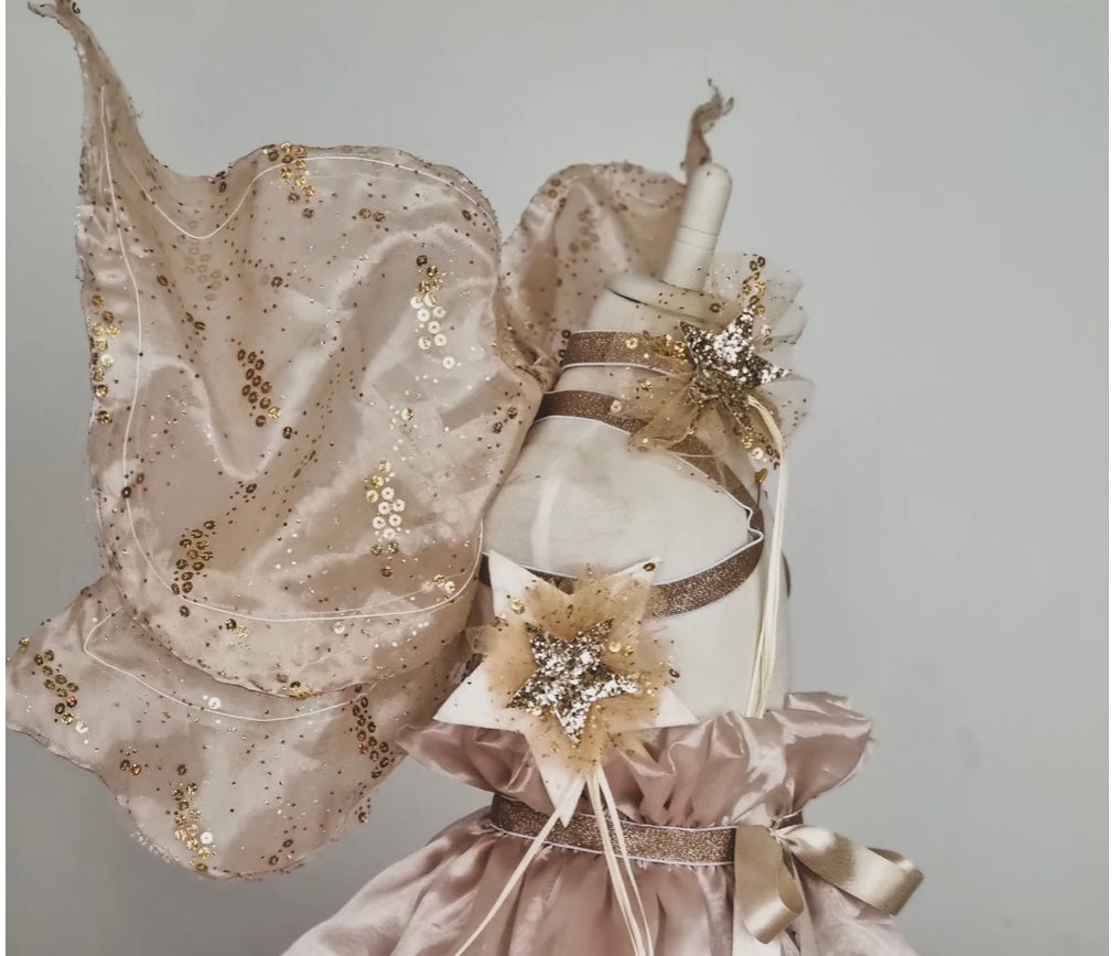 Boo Bean and Bear - Fairy Wings set