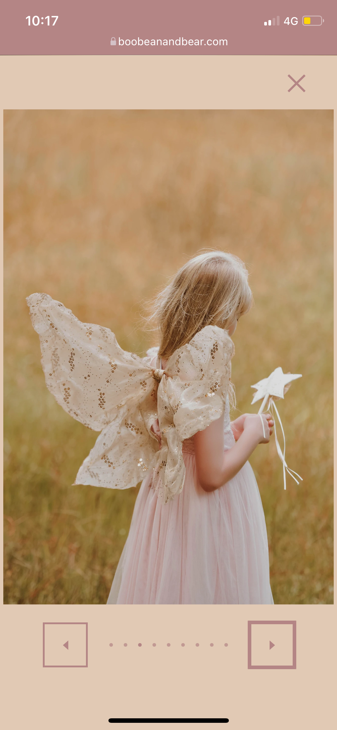Boo Bean and Bear - Fairy Wings set