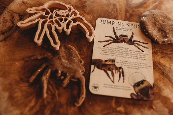 Jumping Spider Eco Cutter™