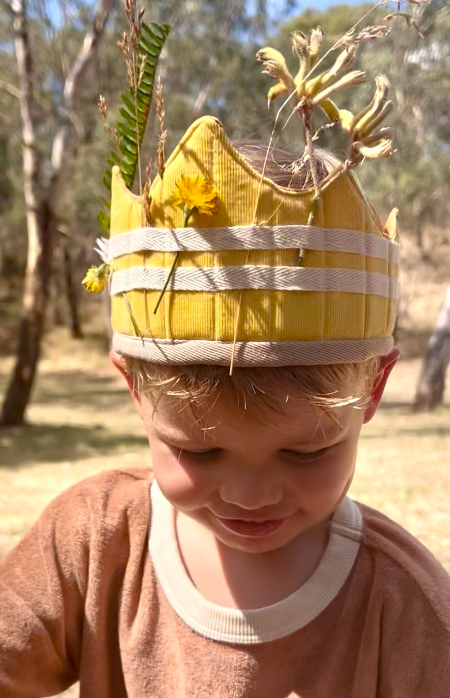 Adventure Crown