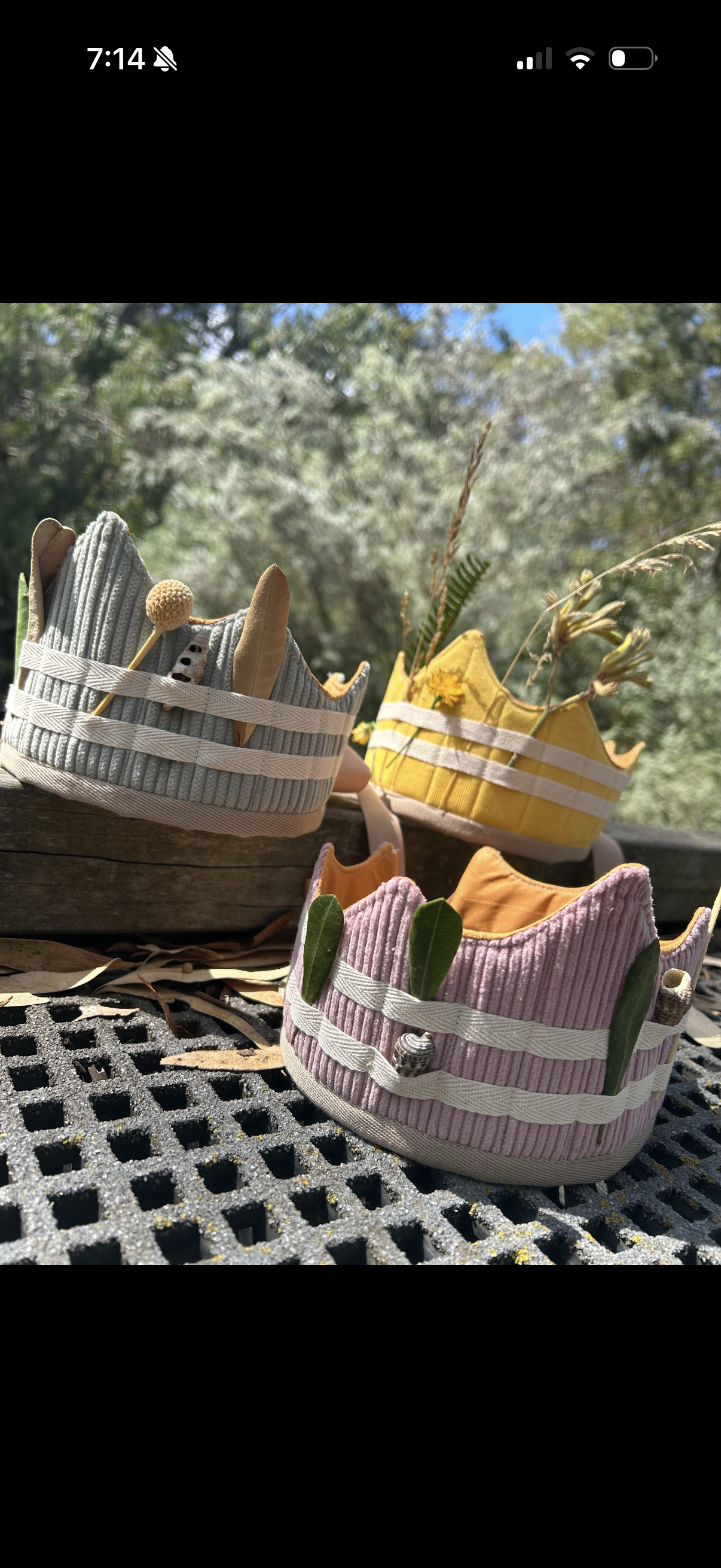 Adventure Crown