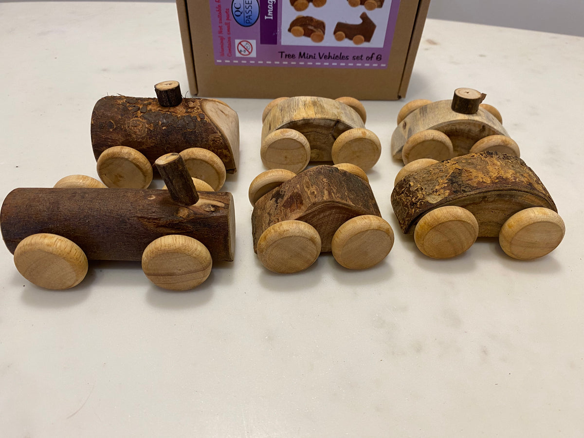 Tree Mini Vehicles set of 6 – Zoe and Quinn Home & Lifestyle