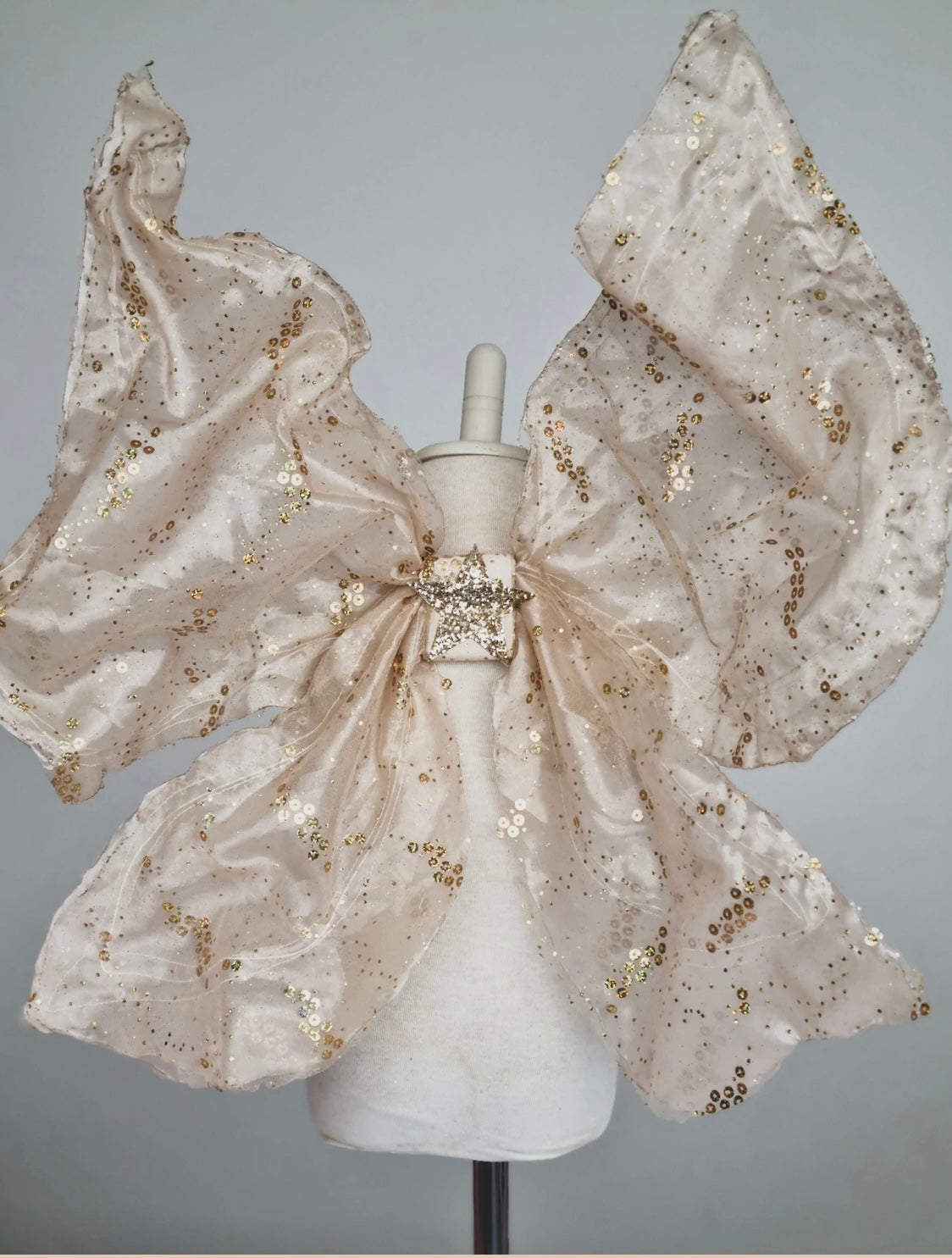 Boo Bean and Bear - Fairy Wings set