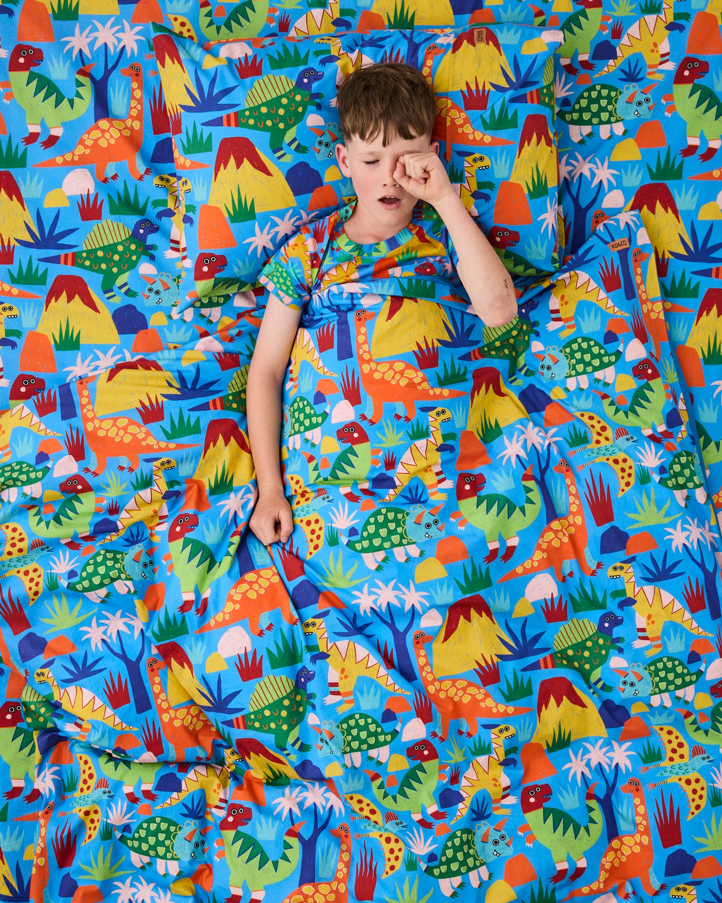 Dinosaur Roar Fitted sheet - Double