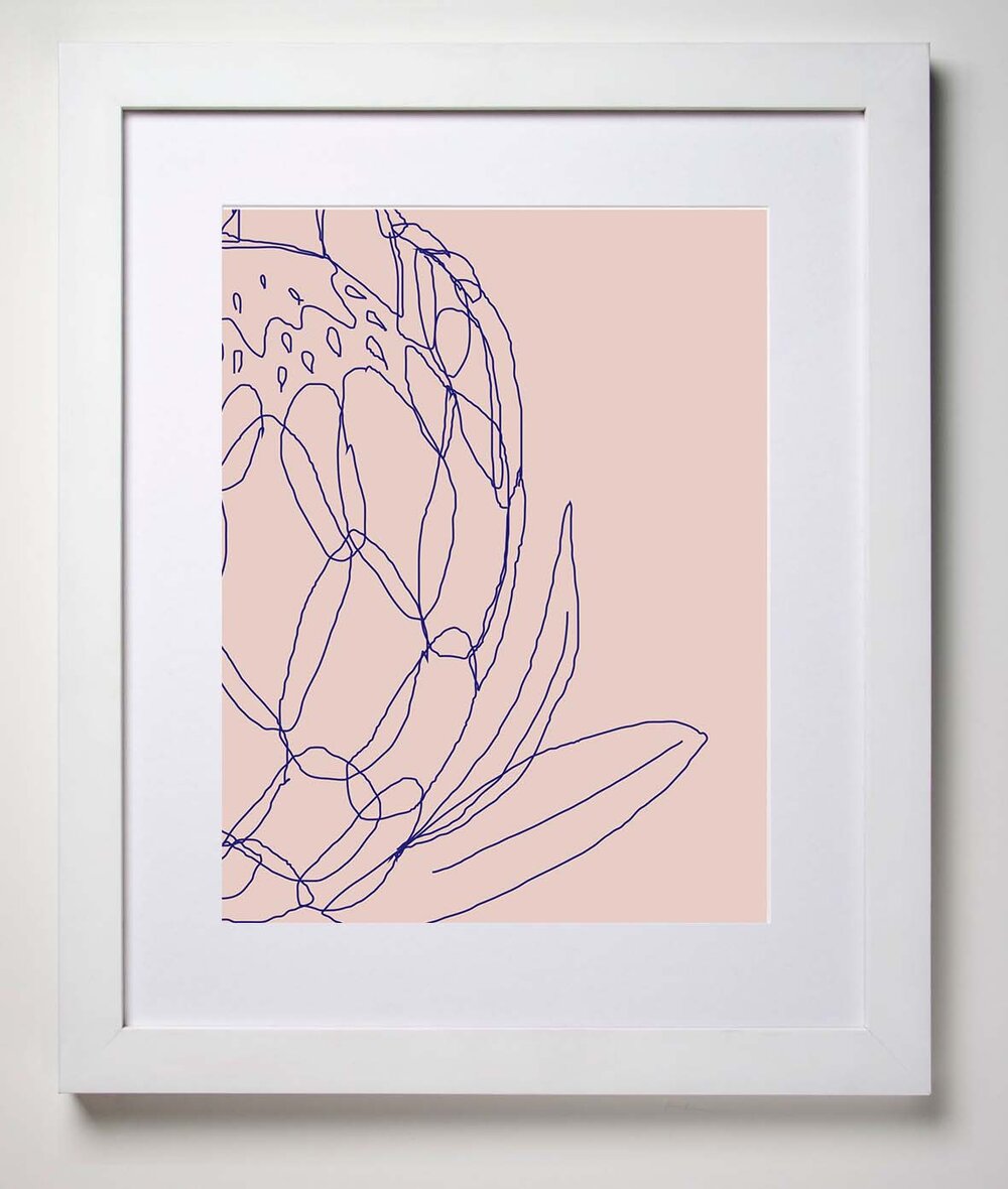 Bird & Blossom - Protea in lines