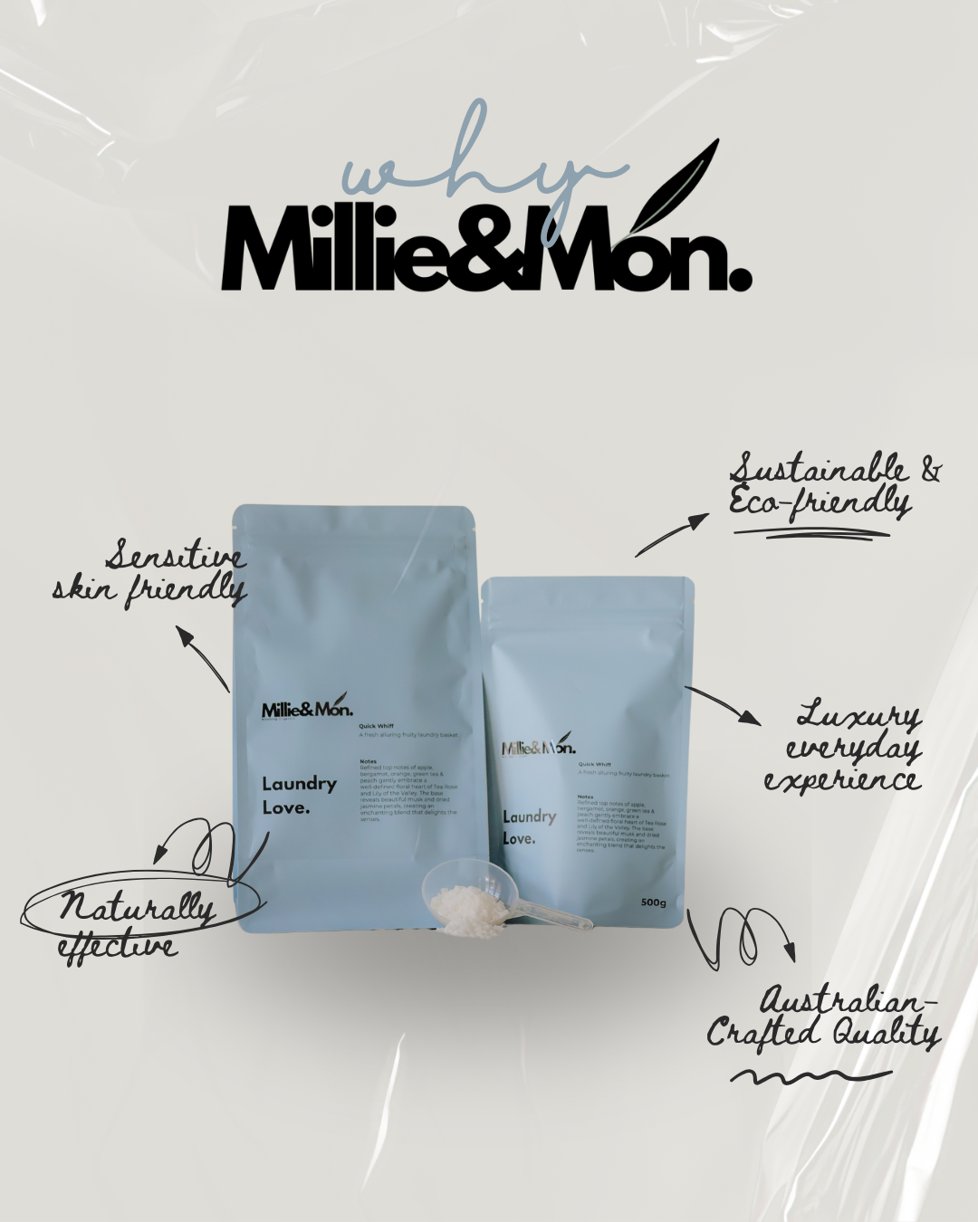 Millie and Mon - Boston Blend ( my personal favourite )