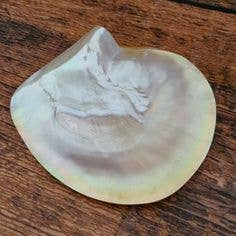 The Mother of Pearl Caviar Set