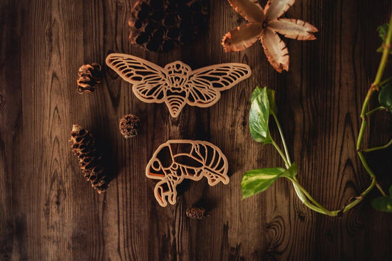 Cicada & Shell Eco Cutter™ Set