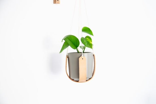 Leather Plant Hanger