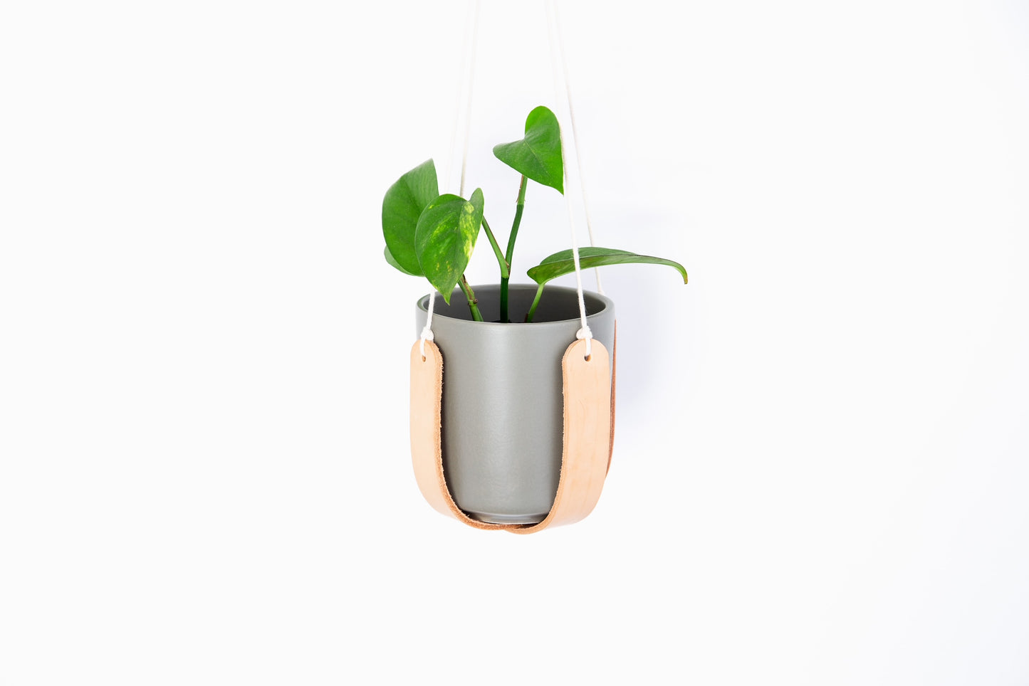 Leather Plant Hanger