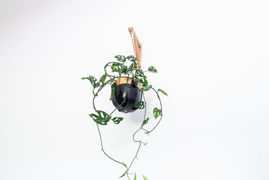 Leather Plant Hanger