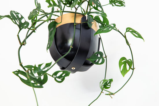 Leather Plant Hanger