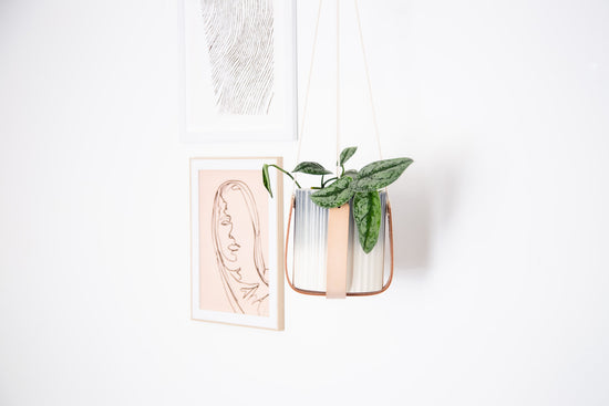 Leather Plant Hanger