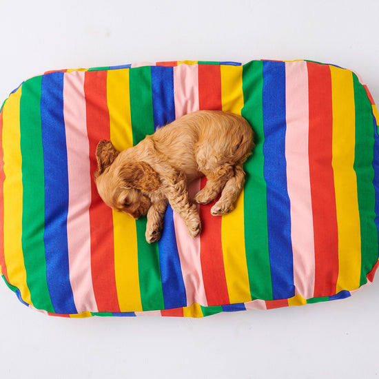 Kip and Co - Rainbows end Pet Bed