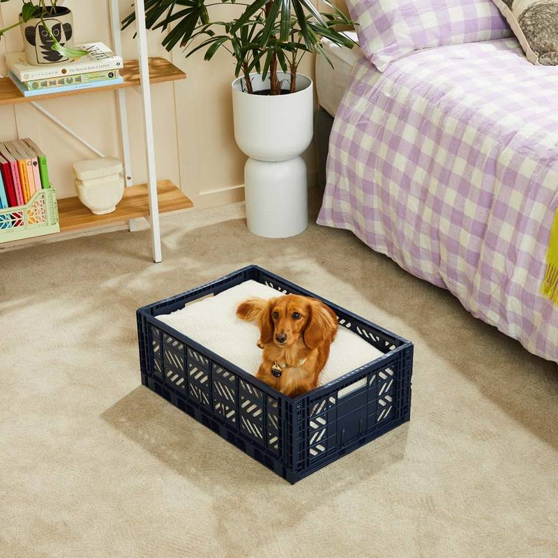 Nice Digs Teddy Crate Dog Bed Zoe and Quinn Home Lifestyle