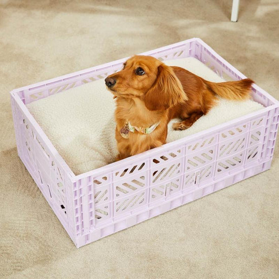 Nice Digs - Teddy Crate Dog Bed